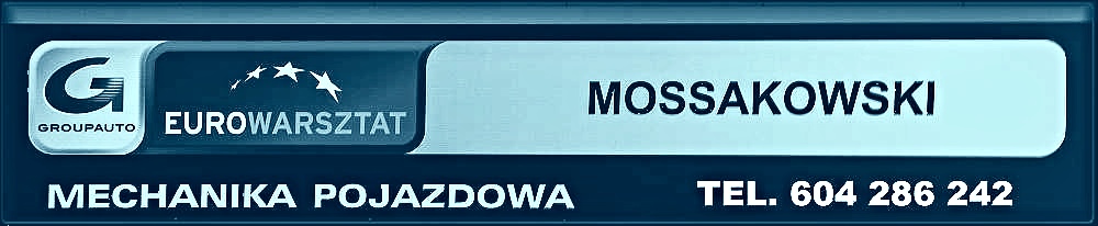 Serwis mechanik samochodowy